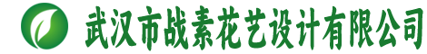 武汉市战素花艺设计有限公司